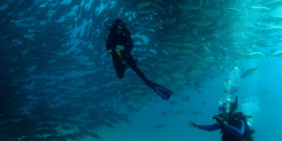 Diving 2 tanks In Cabo Local Reserve