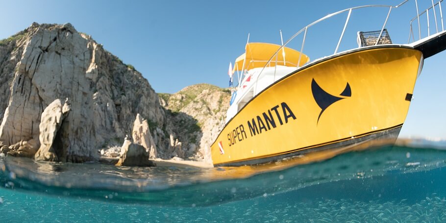 Best dive boat in Cabo san Lucas