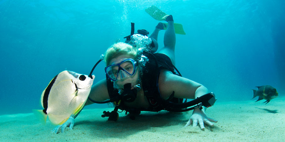 Padi Open Water Diver Course
