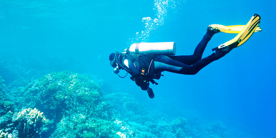 Divemaster Internship