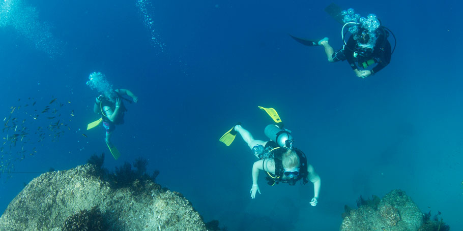 Rescue Diver Course Cabo