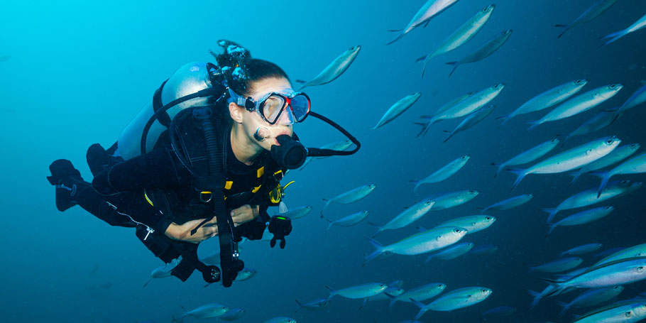 Diving 2 tanks In Cabo Local Reserve