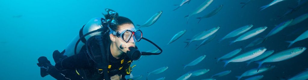 scuba diving vacations for beginners