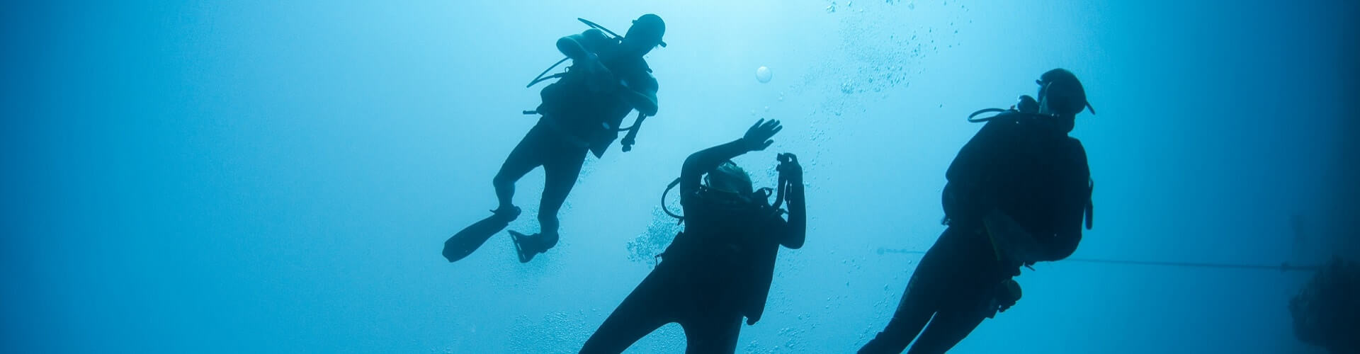 Diving in Mexico with Bull Sharks