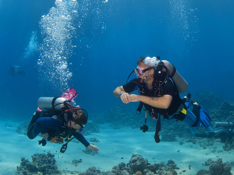 Discover Scuba, Diving class tour for Beginners in Cabo SanLucas, Los