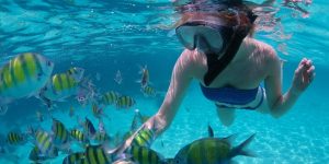 Snorkel tour Cabo