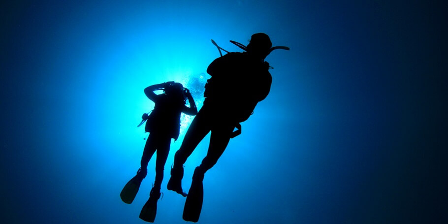 diving with kids in Cabo san Lucas 1
