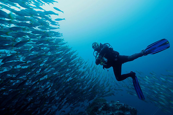 Dive Gordo Banks