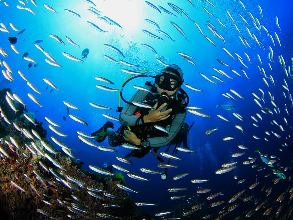 discover scuba cabo