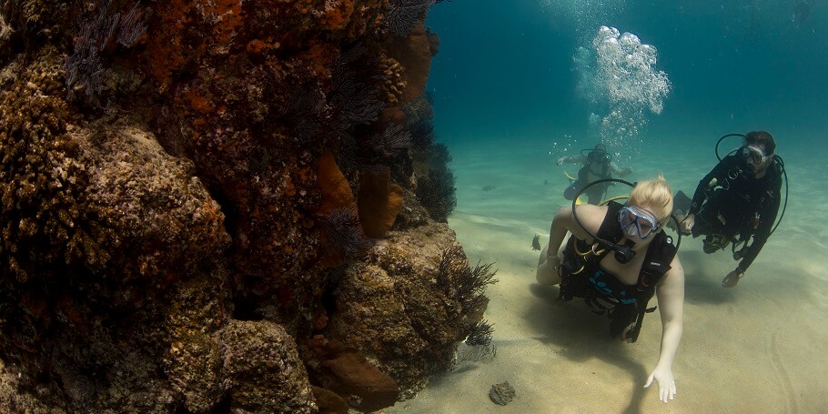 Scuba Diving Refresher with 2 dives